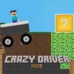 Crazy Driver Noob