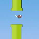 Floppy Fly
