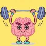 Perfect Brain 3D Puzzle